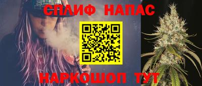 крисы Будённовск