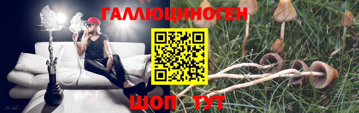 Псилоцибиновые грибы мицелий  Вход с VPN  Киреевск 